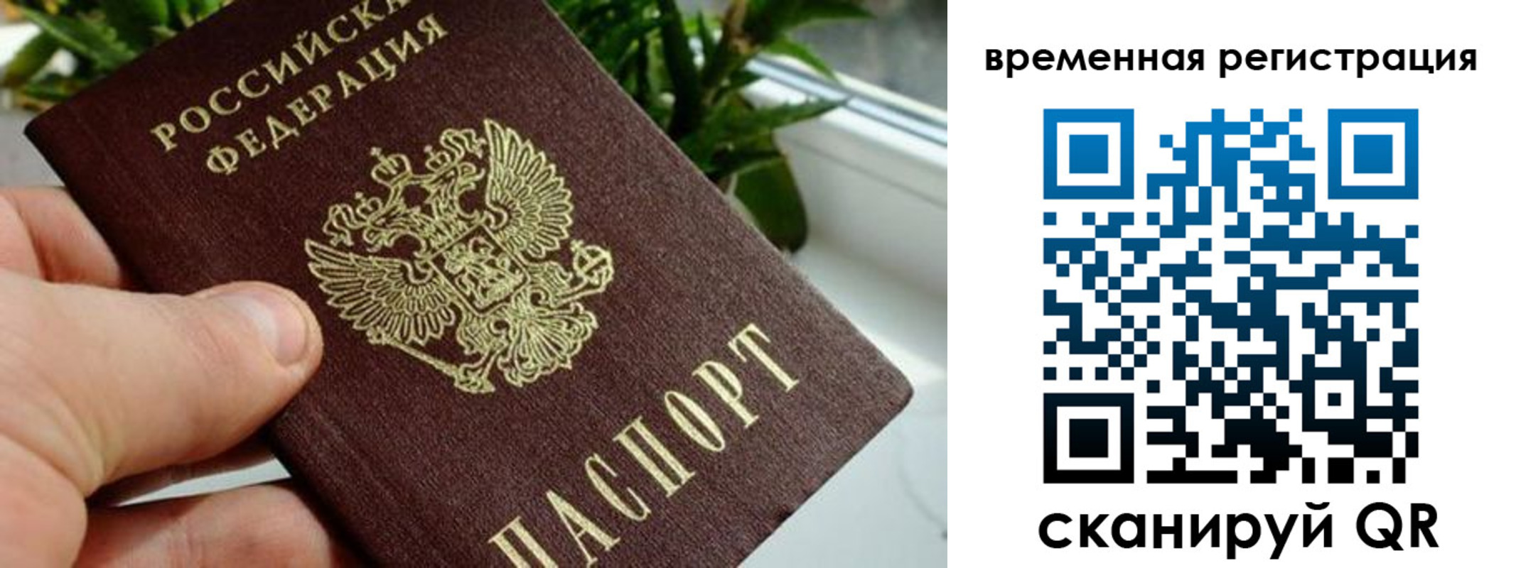 прописка поиск в Керчи
